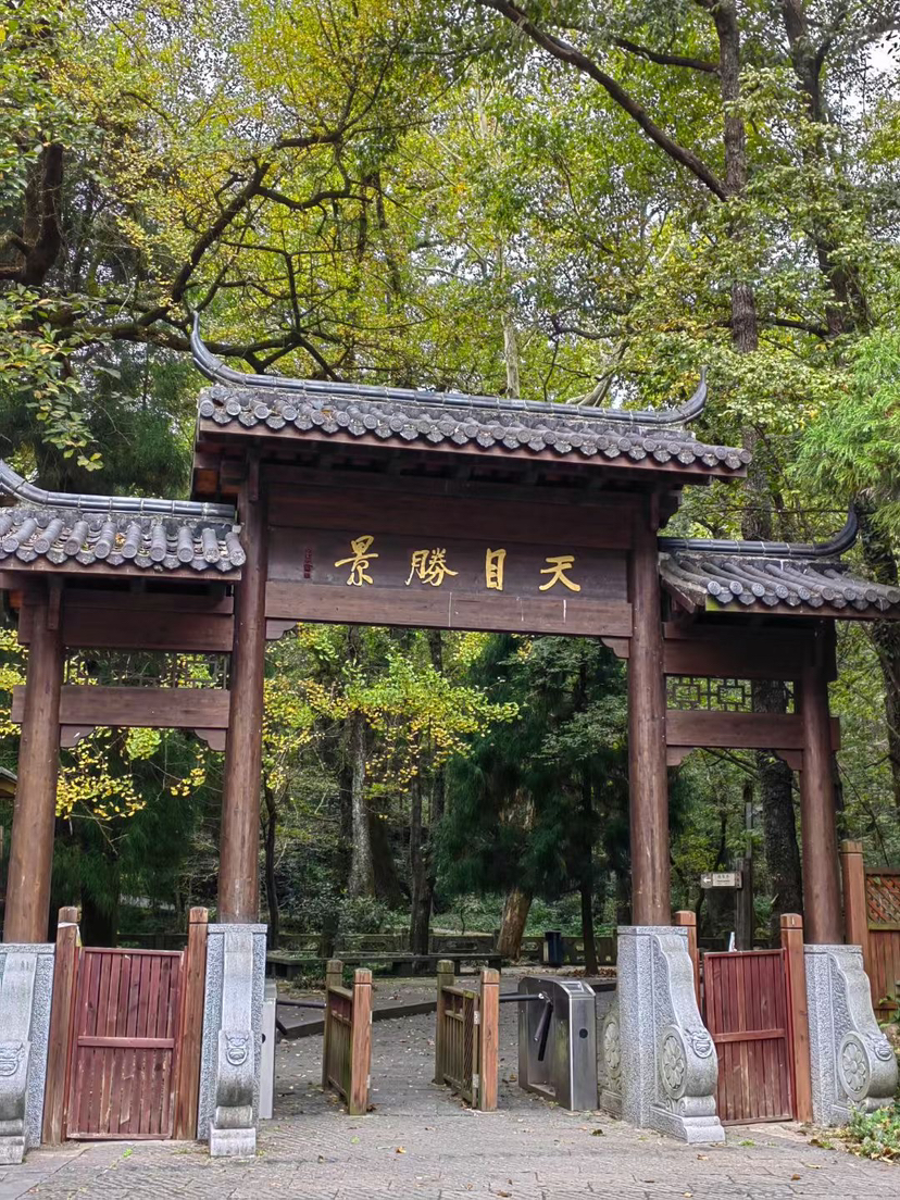探秘西天目山