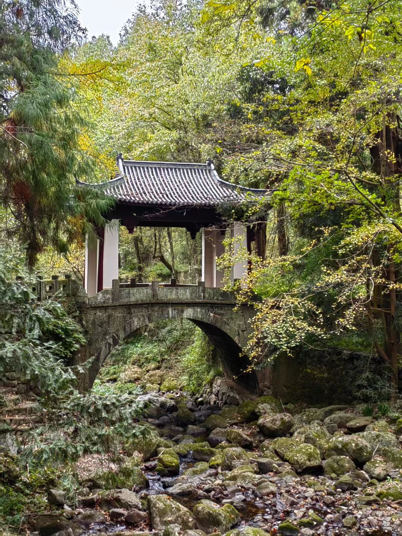 探秘西天目山