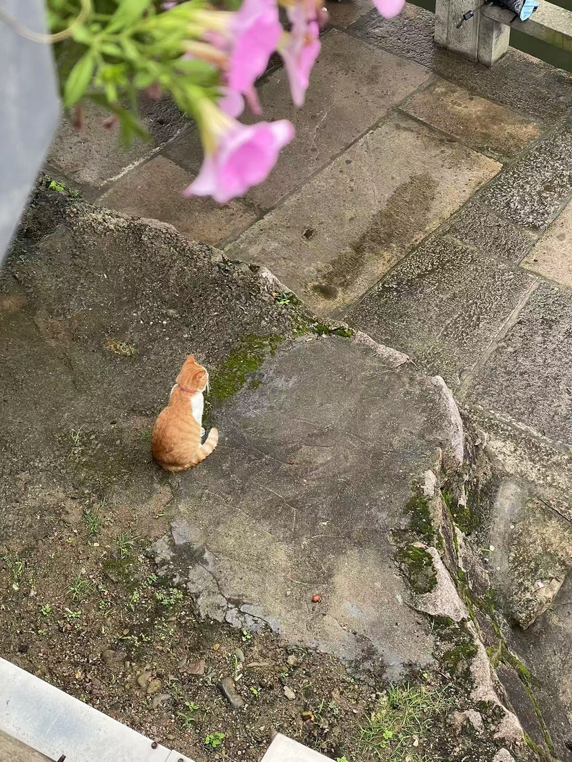 岩头古村