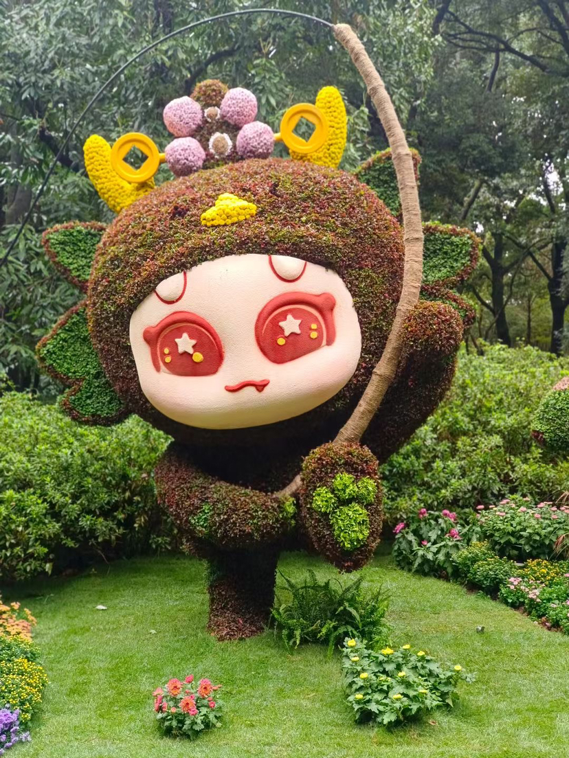 又是一年菊花开