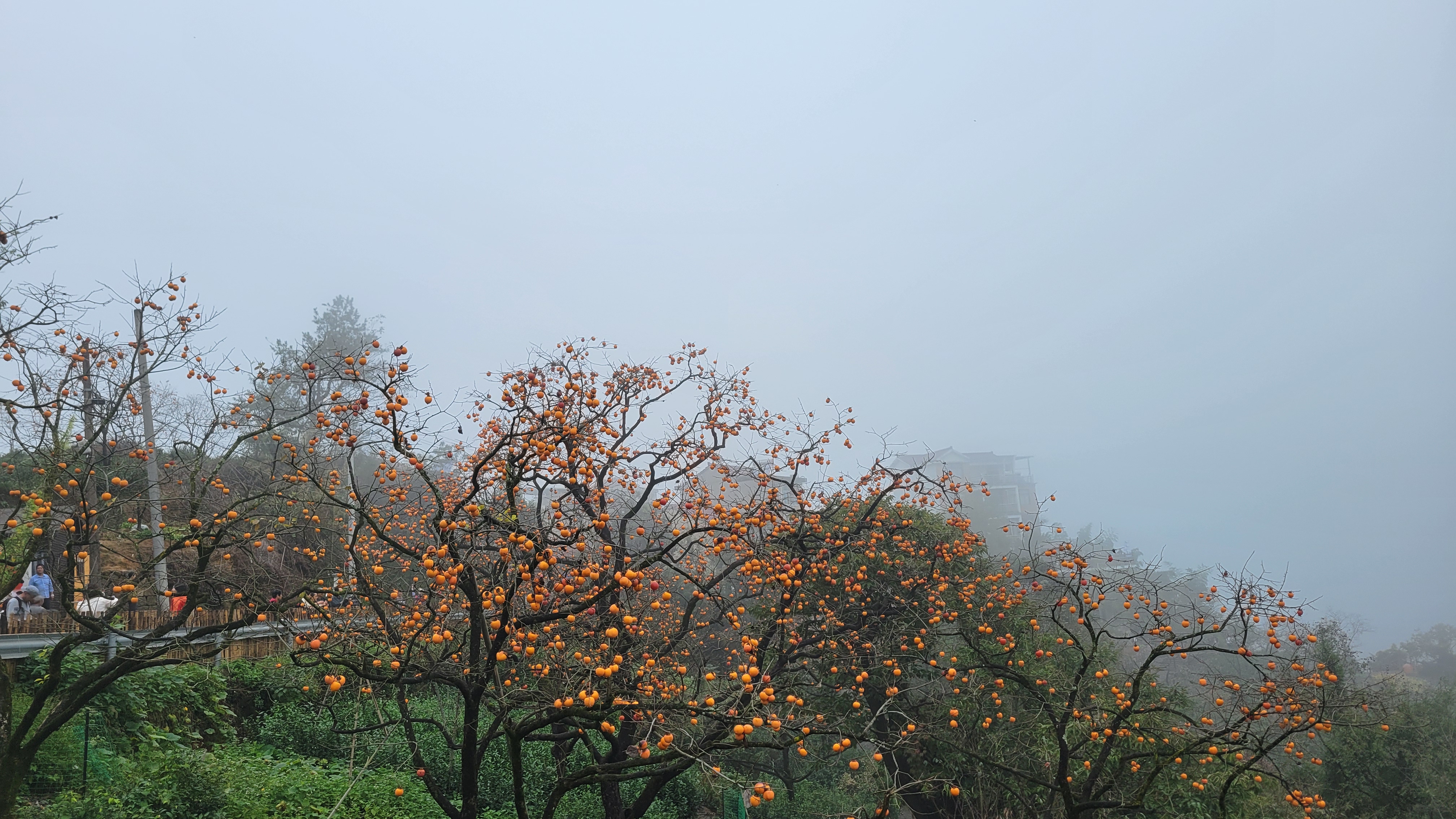 天姥山到兢山村