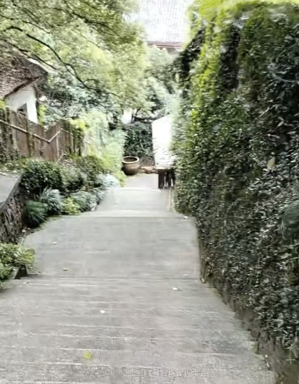 静逸别墅掠影
