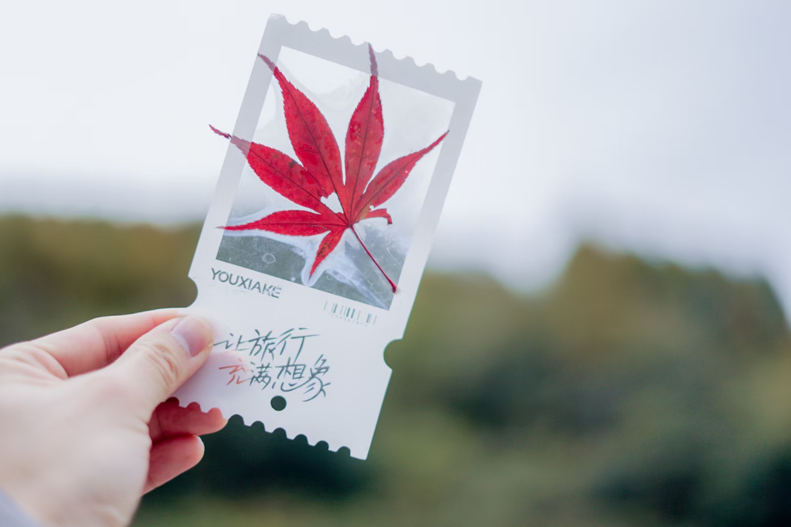 卧龙登山节