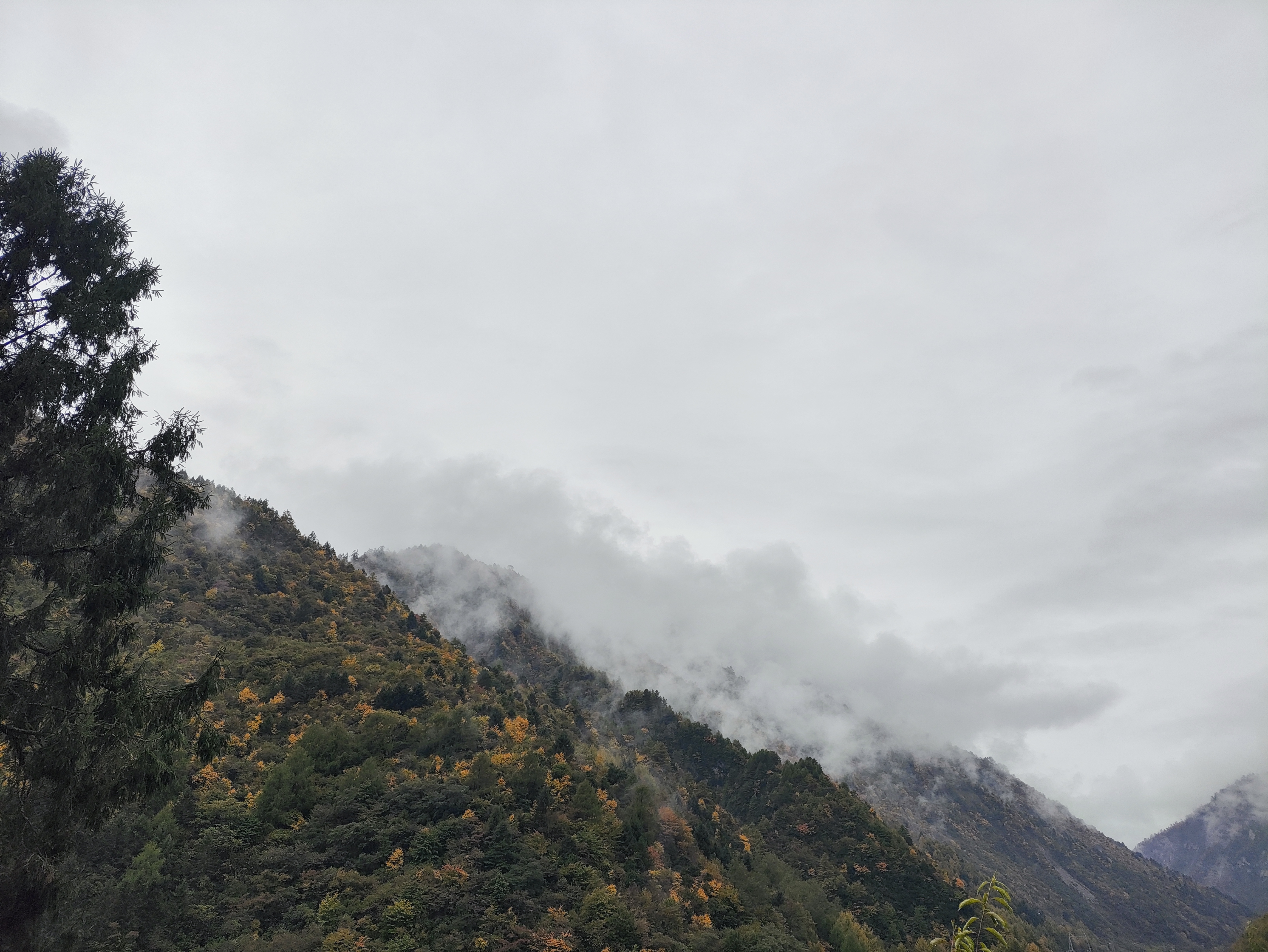 卧龙登山节