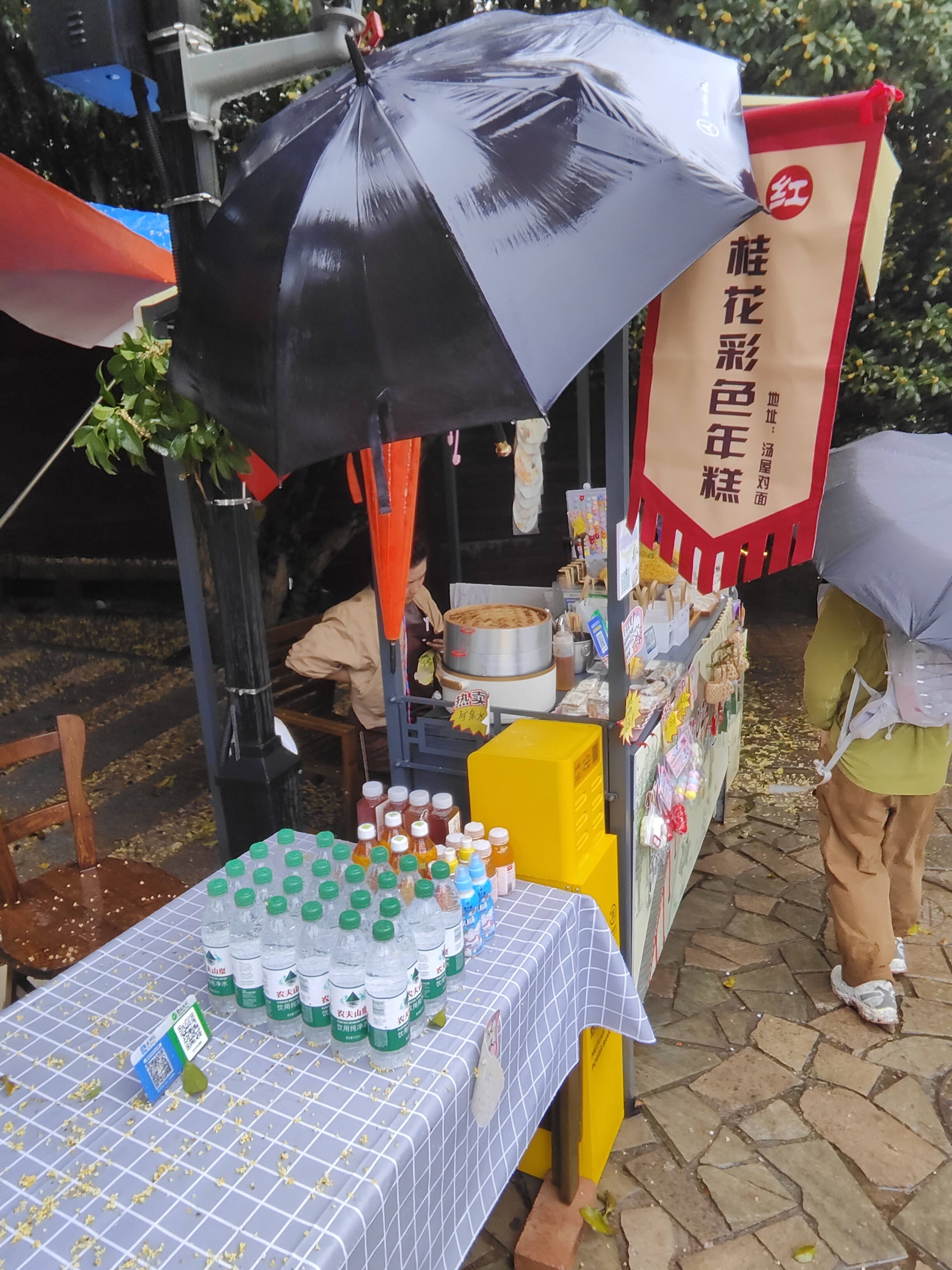 2024.10.15 满陇桂雨（五）