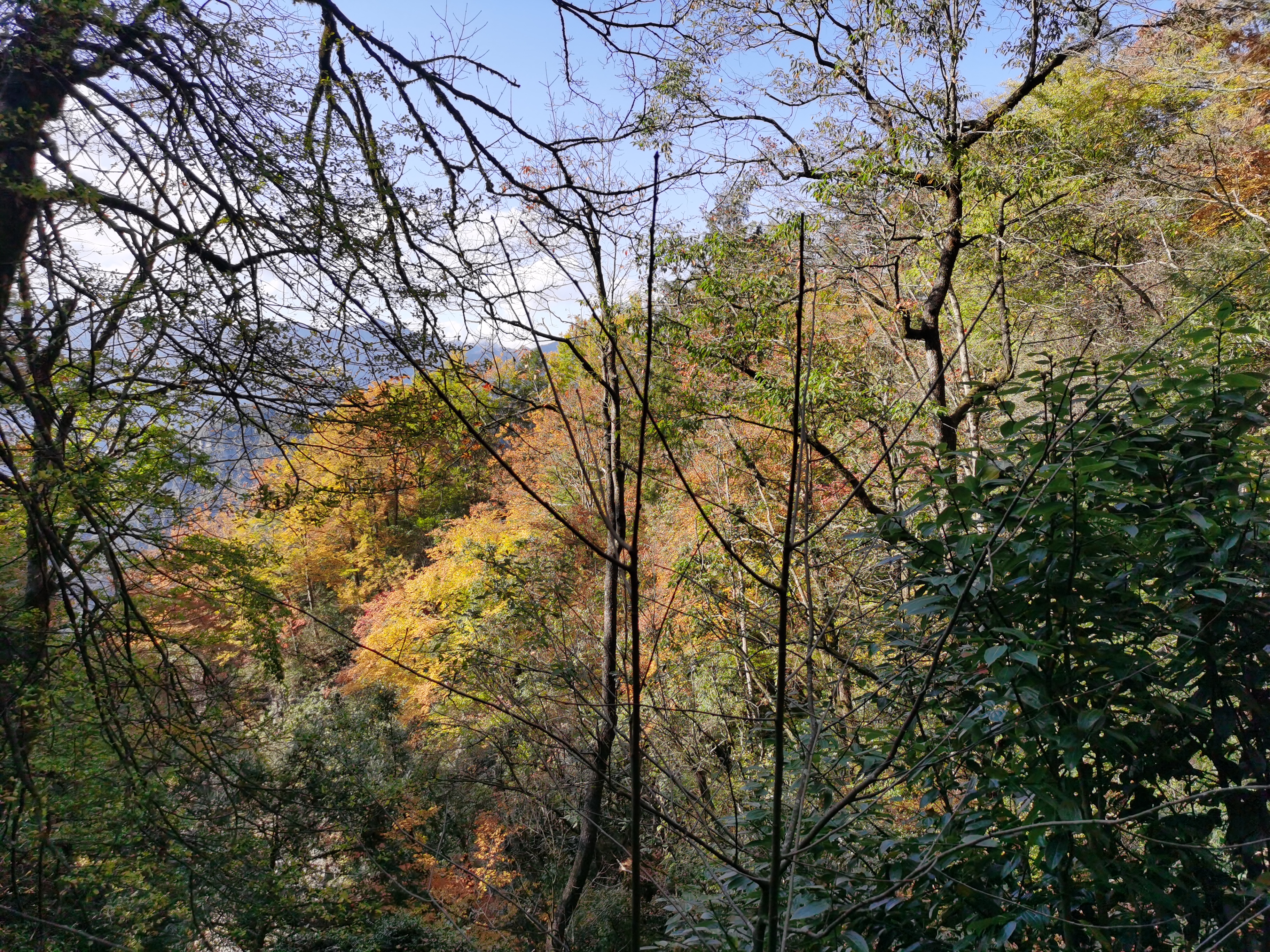 米仓山