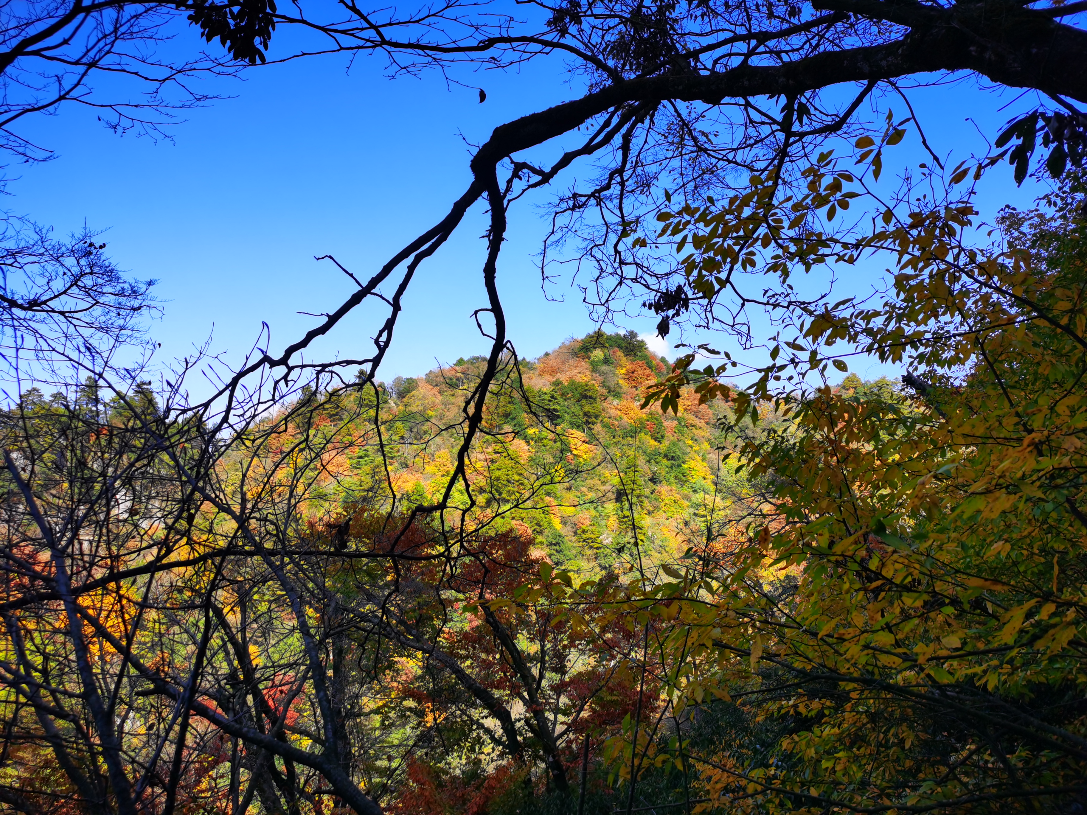 米仓山