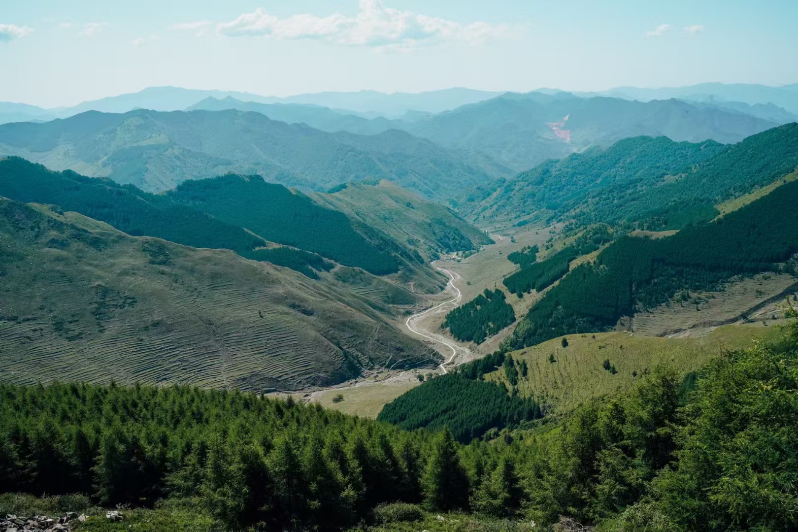我从山里来