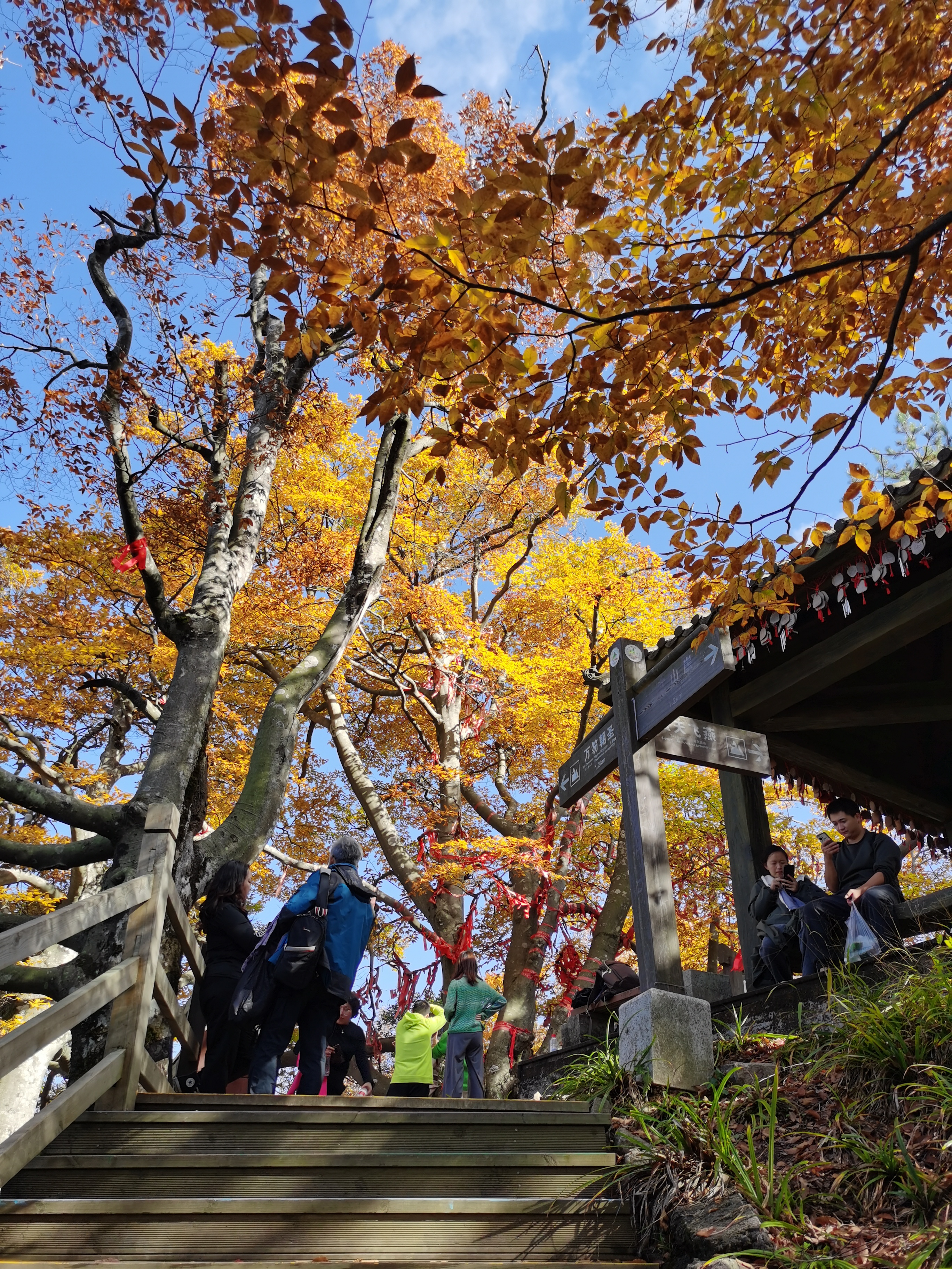米仓山