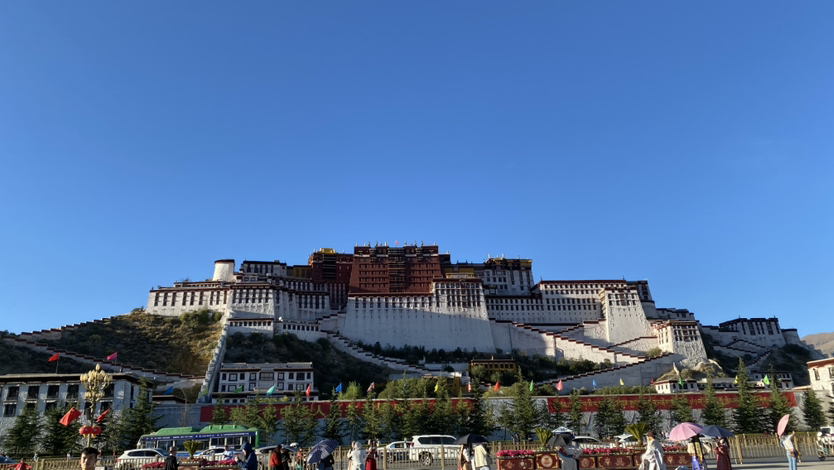 羊卓雍措湖碧蓝如镜，映衬雪山与草原，湖水波光粼粼，色彩变幻。这里宁静纯净，羊群悠闲漫步，四周群山环绕，宛如天成画卷