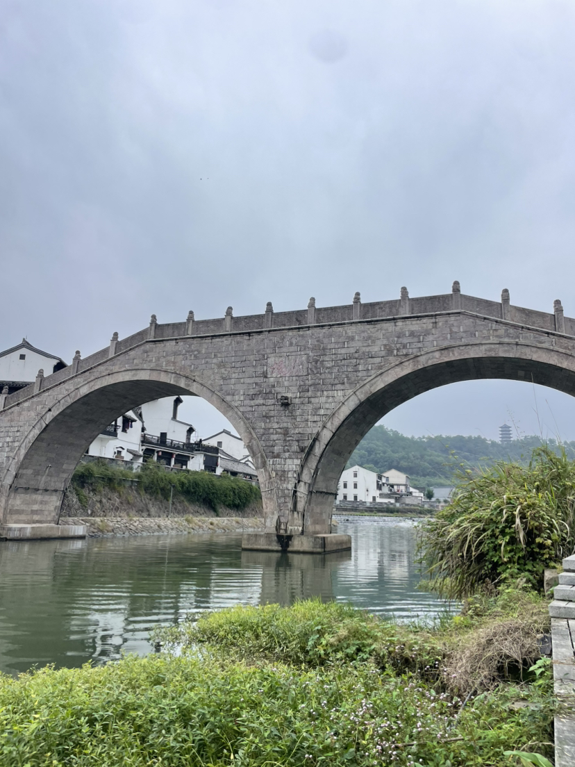 诸暨珍珠柿子行