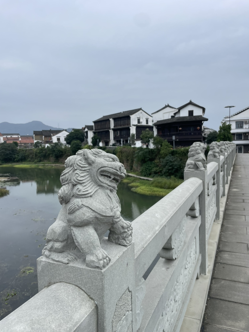 诸暨珍珠柿子行
