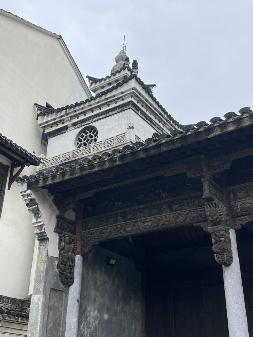 诸暨珍珠柿子行