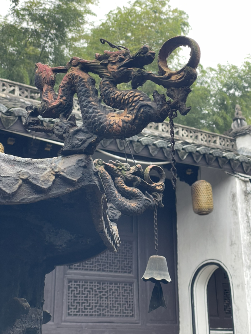 诸暨珍珠柿子行