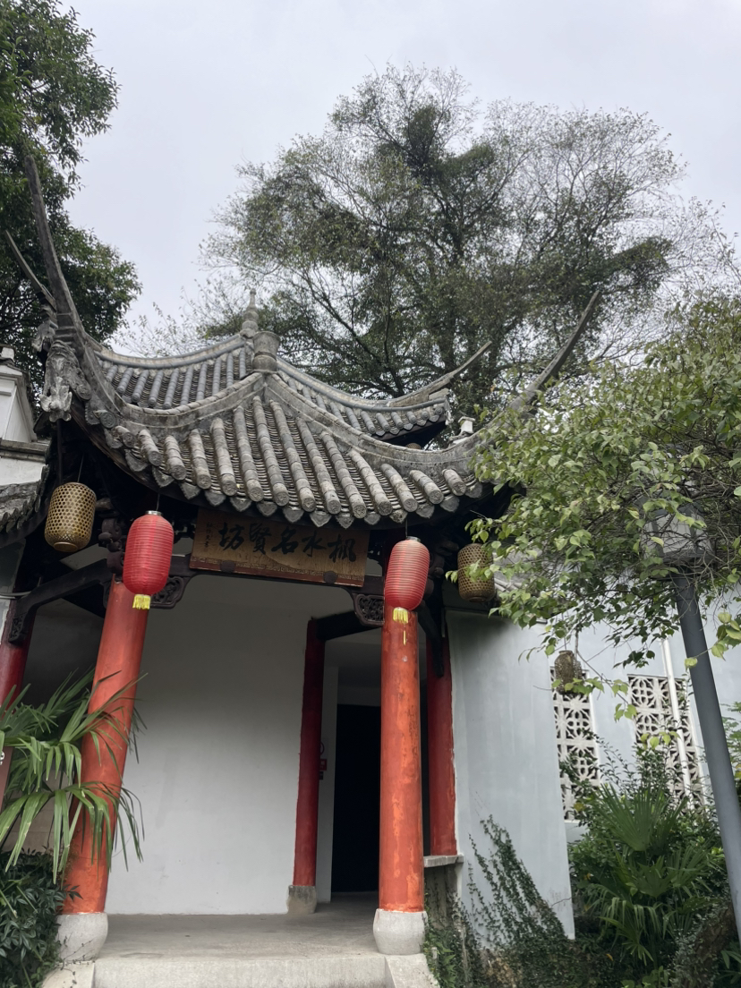 诸暨珍珠柿子行