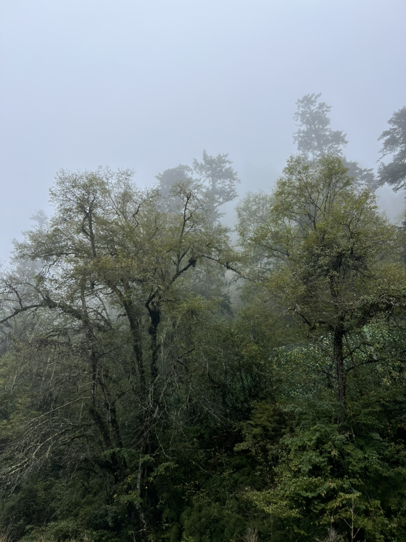 向山而行,川西雪山巡礼