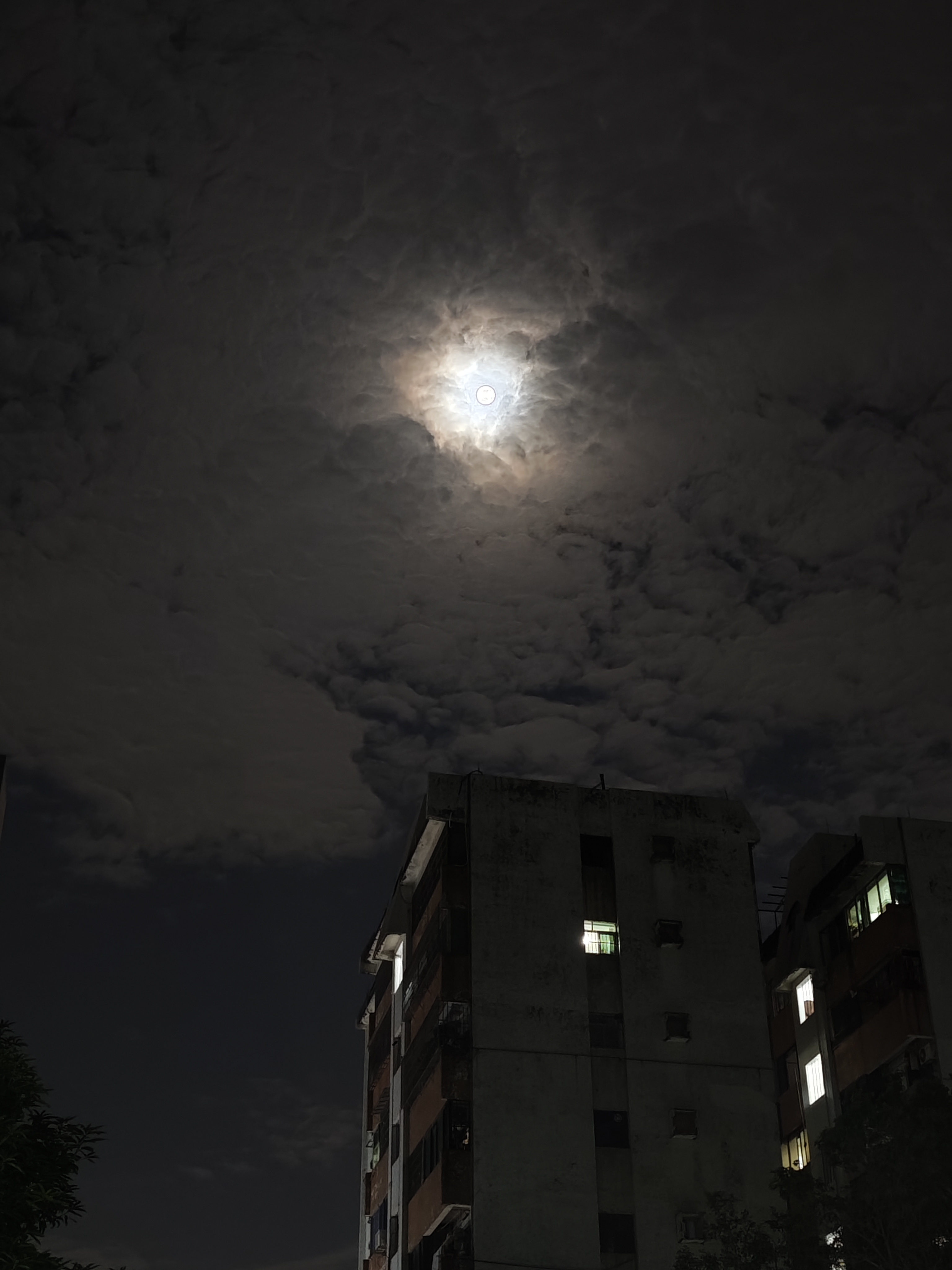 月夜游记夜幕低垂,我踏上寻月之旅。林间小径,微风轻拂,树叶沙沙作响,似在低语。行至湖畔,水面波光粼粼,倒映着皎洁的月