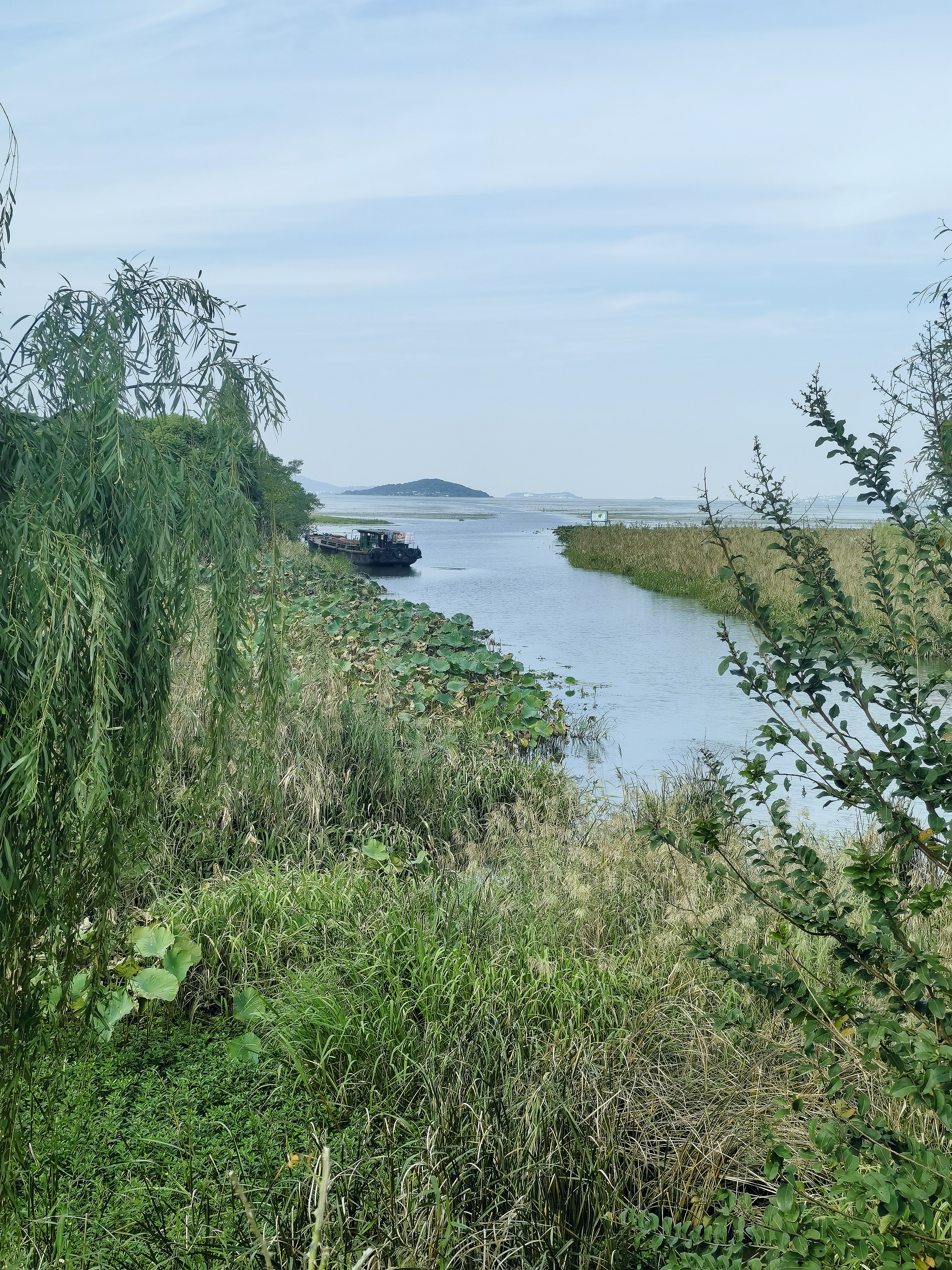 秋骑东山岛