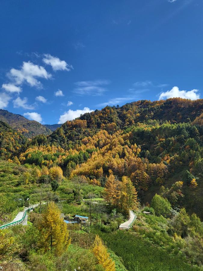 云中岭