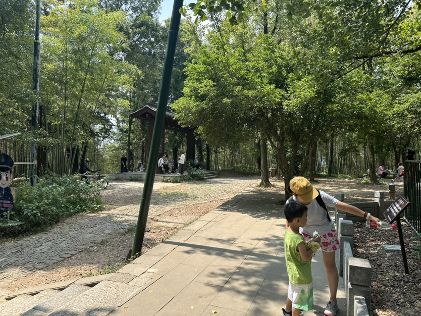 杭州九溪