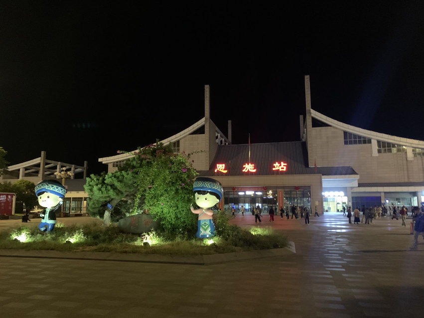 树林里的树