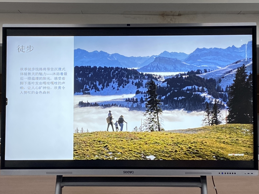我要去瑞士。