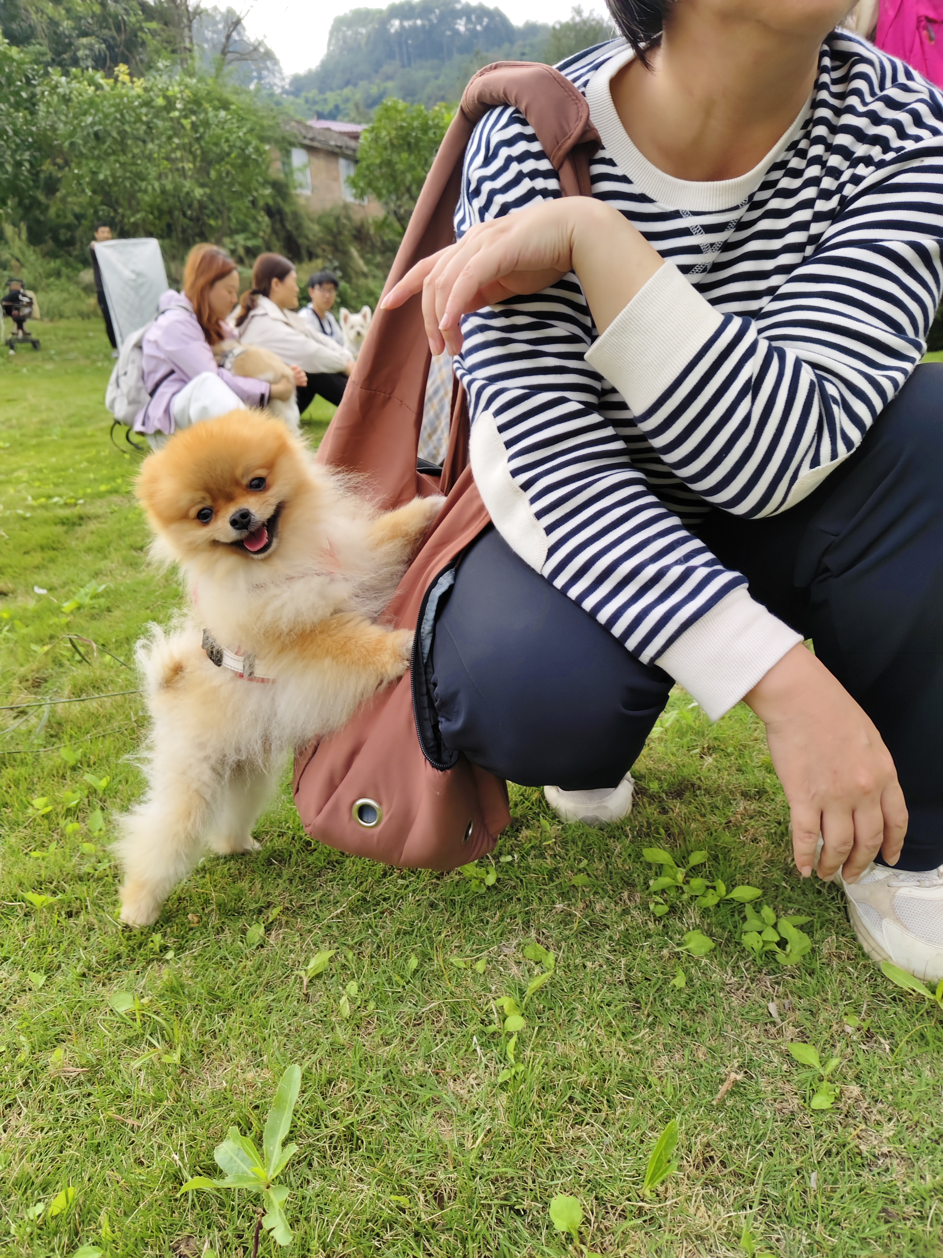 团子的徒步日记#小朋狗的快乐