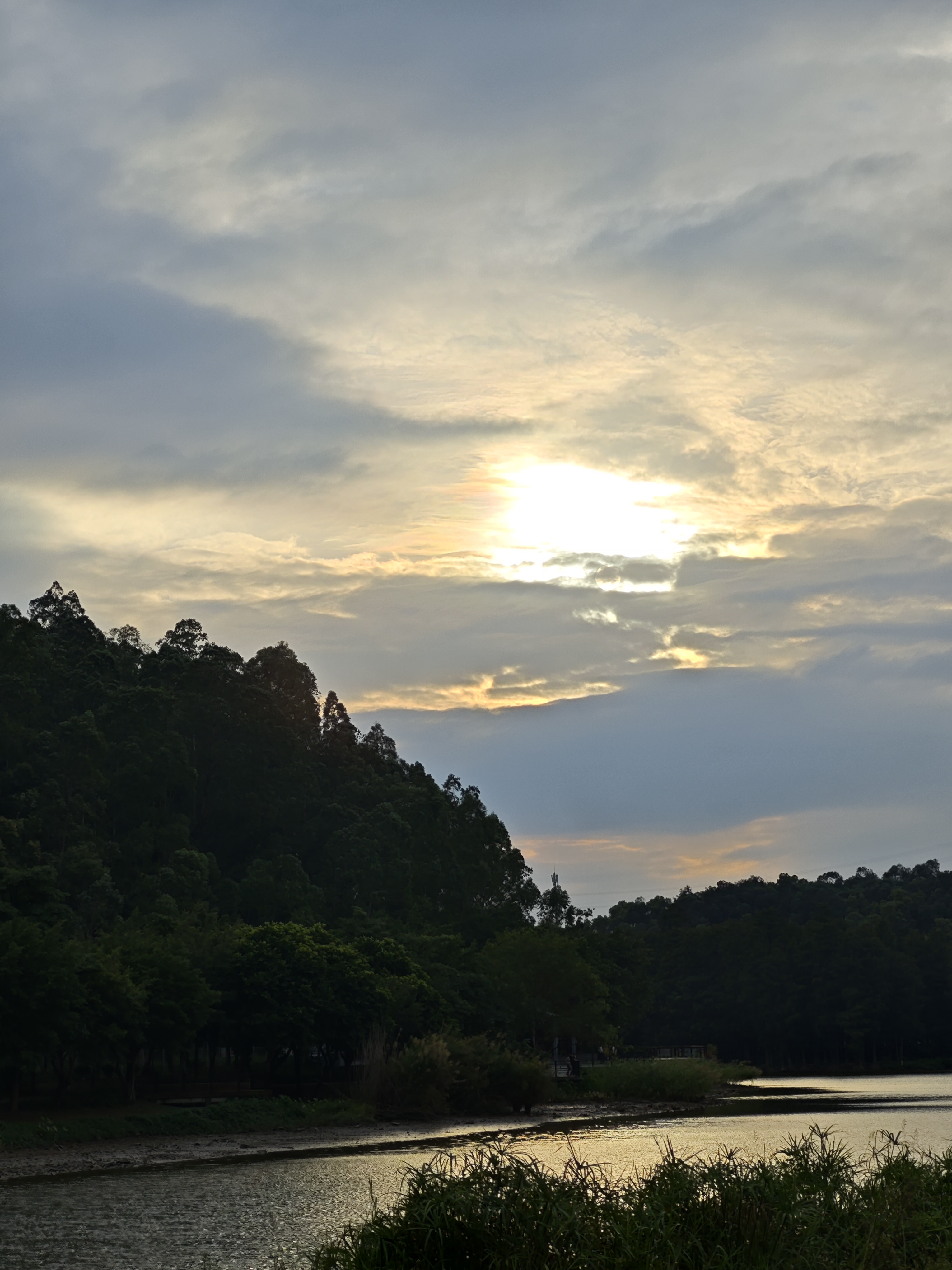 观夕阳游记傍晚时分，我来到海边，只为那绚烂的夕阳。太阳缓缓下沉，天空被染成了橘红色，海面波光粼粼，仿佛镶嵌了无数颗红