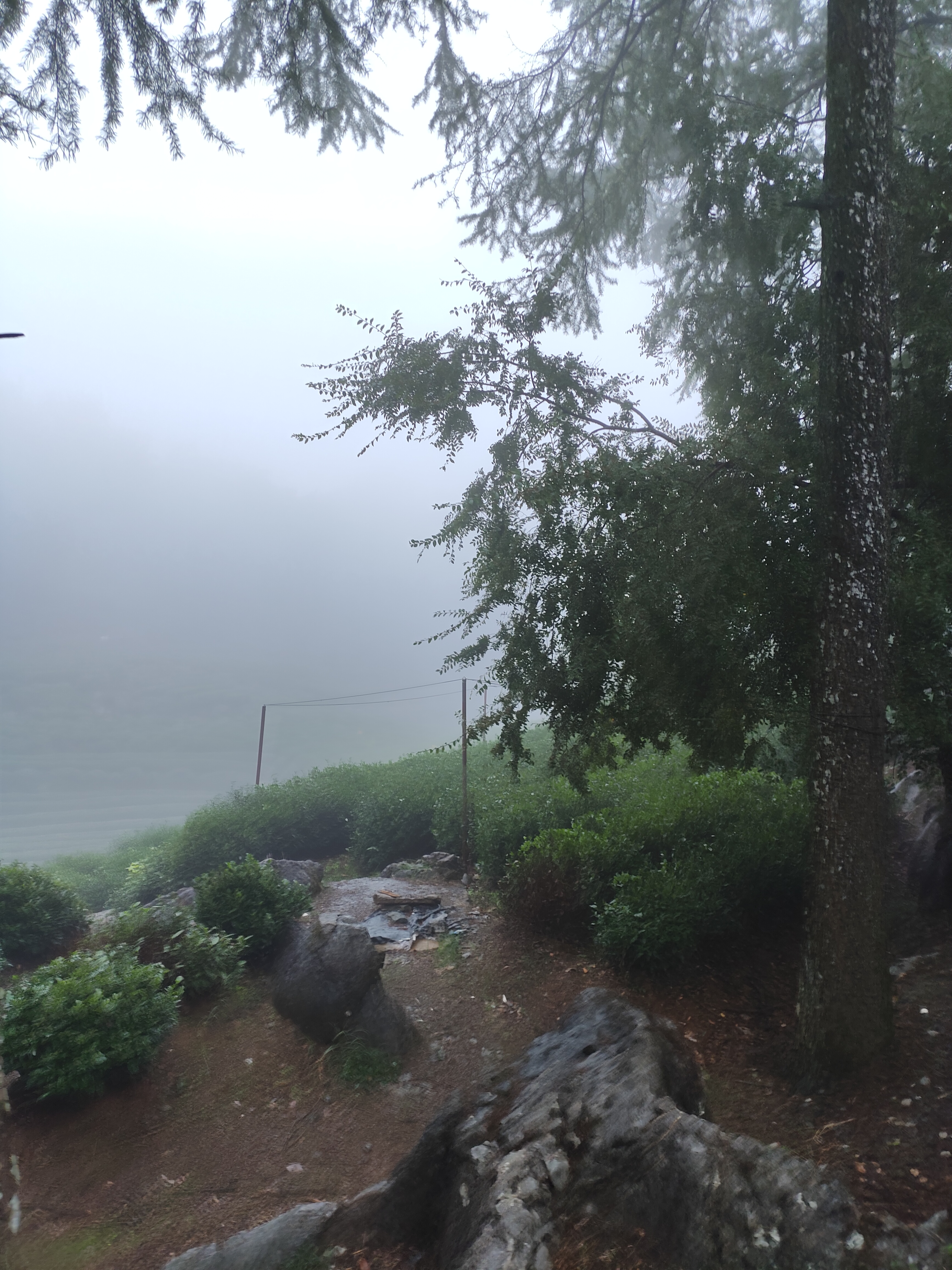 2024.10.15 满陇桂雨(十一)