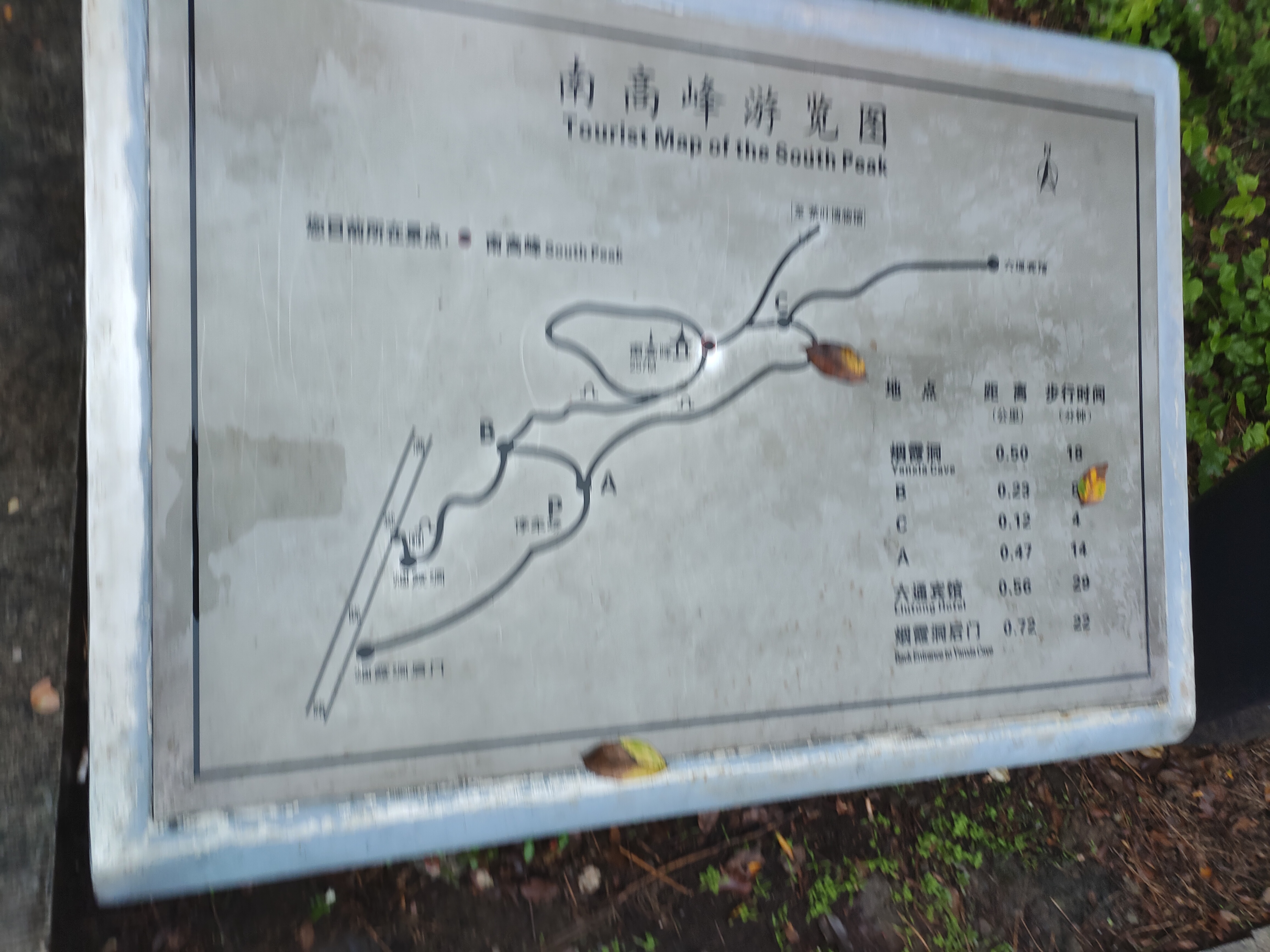 2024.10.15 满陇桂雨(十一)