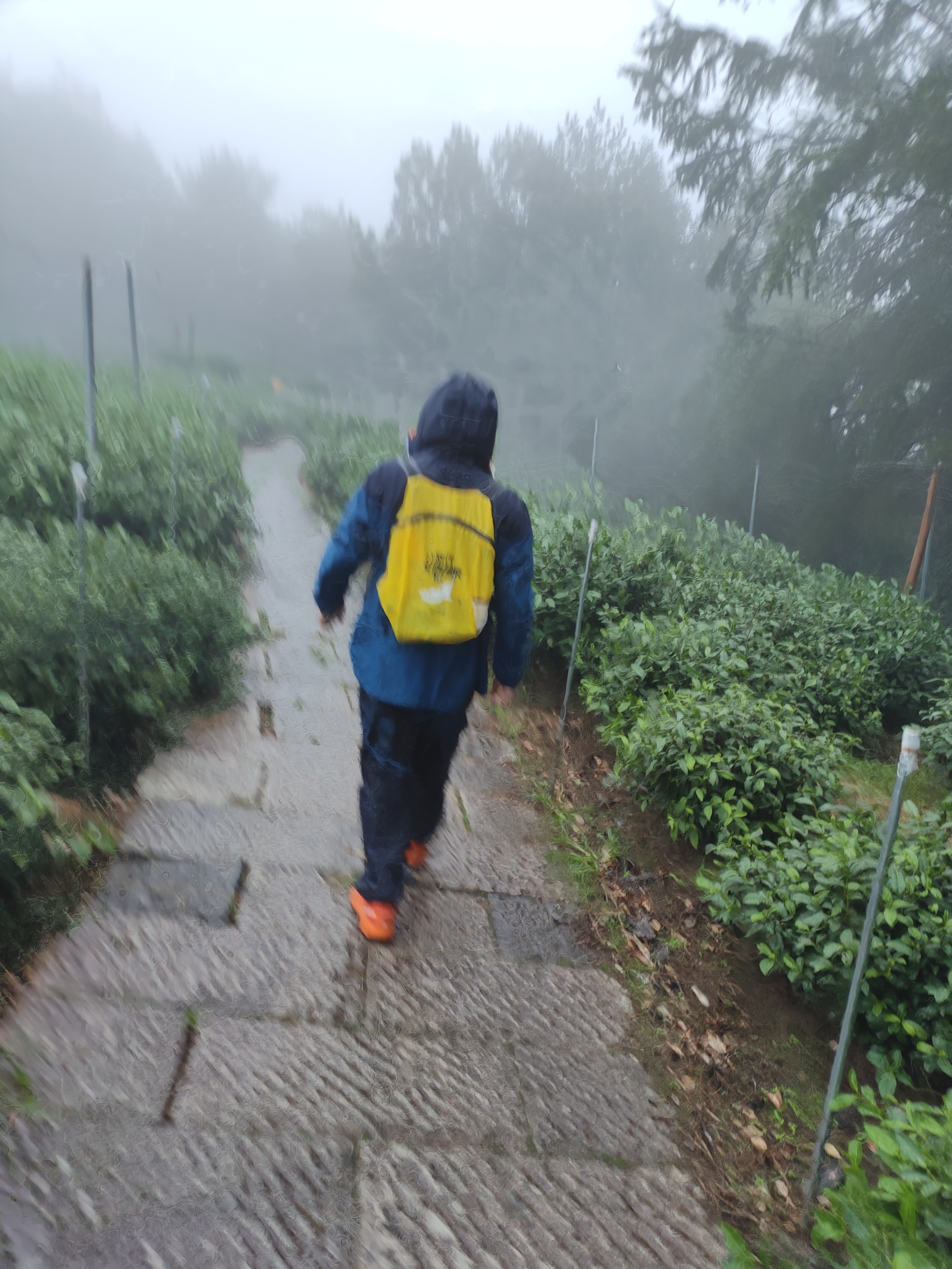 2024.10.15 满陇桂雨(十一)