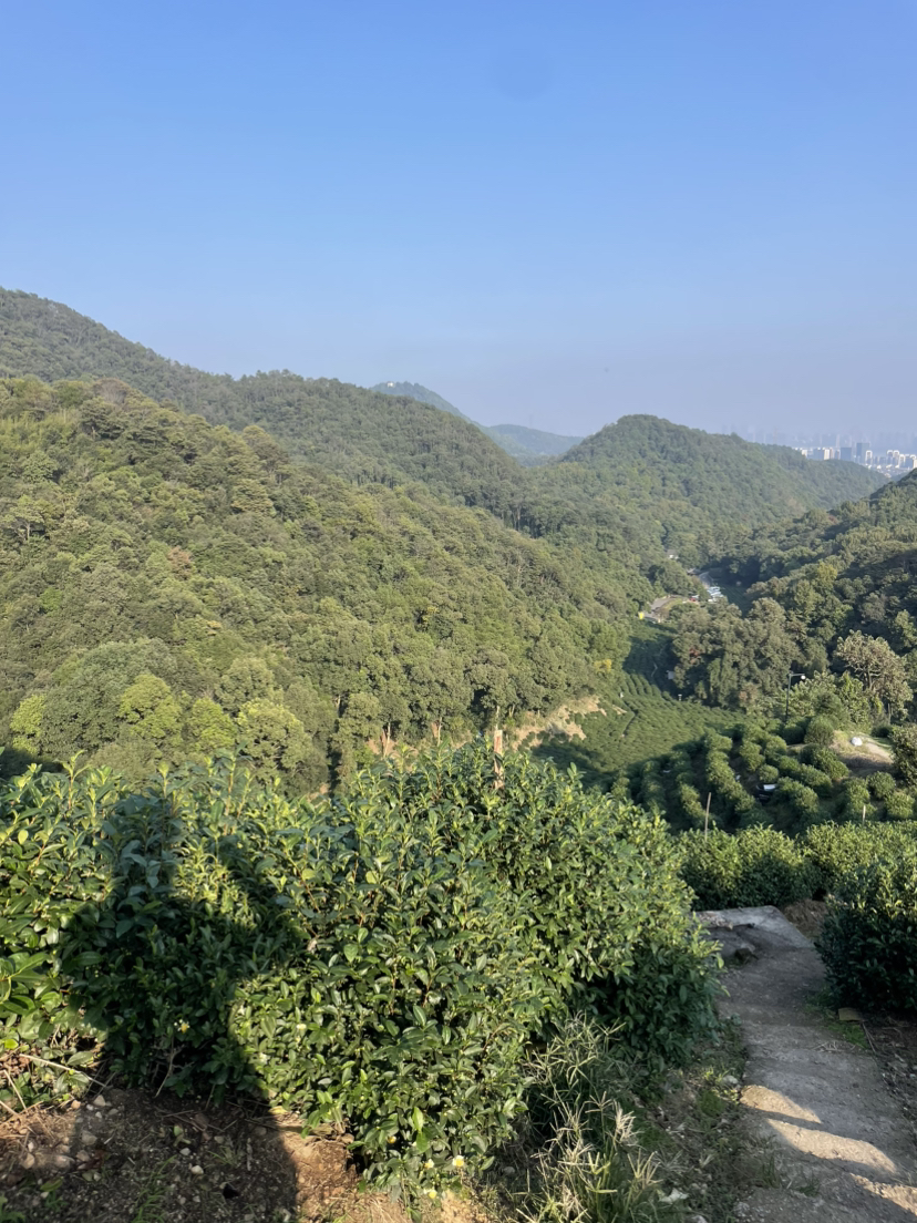 虎跑冷泉-马儿山-贵人阁-白鹤峰