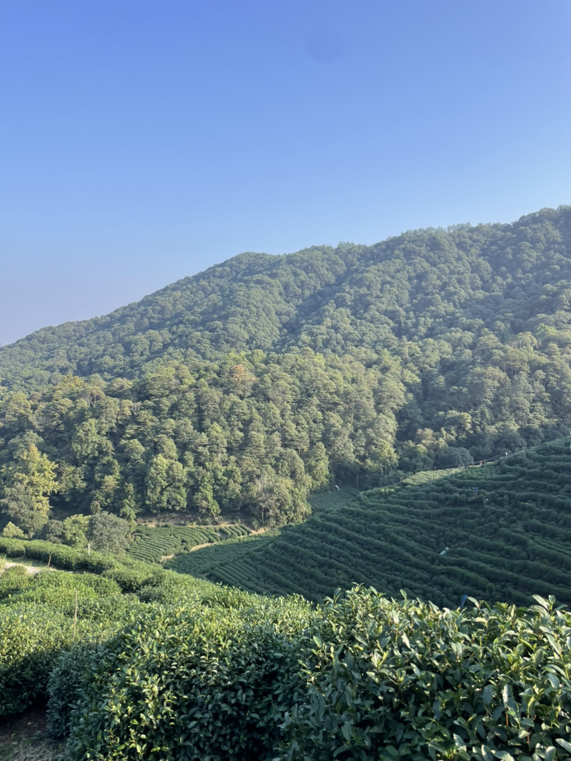虎跑冷泉-马儿山-贵人阁-白鹤峰