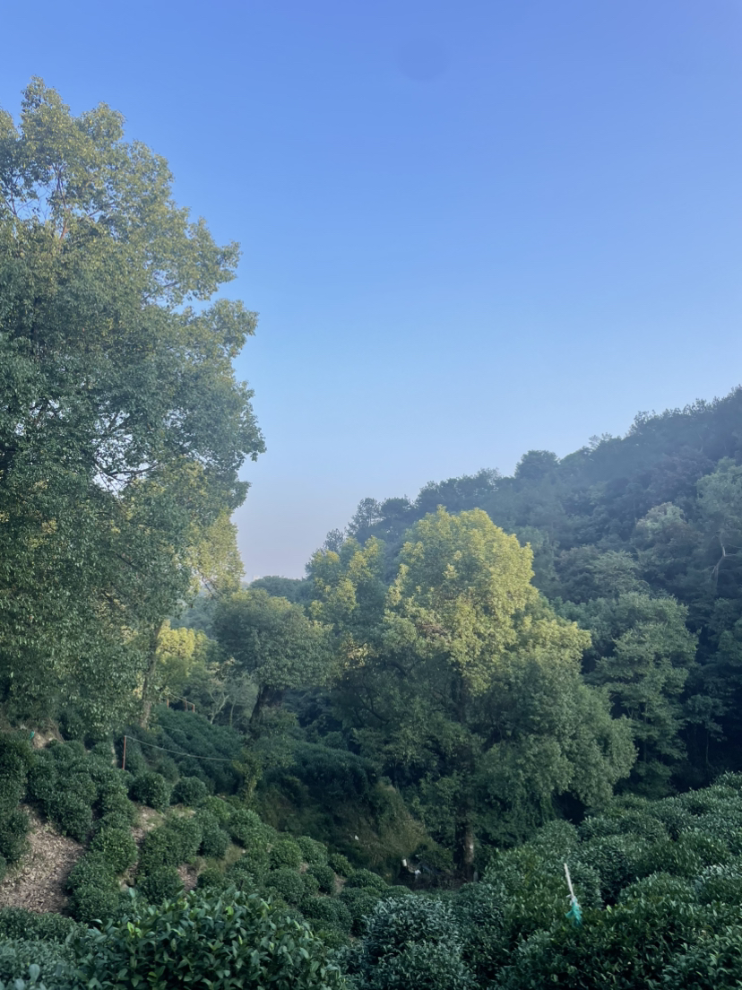 虎跑冷泉-马儿山-贵人阁-白鹤峰