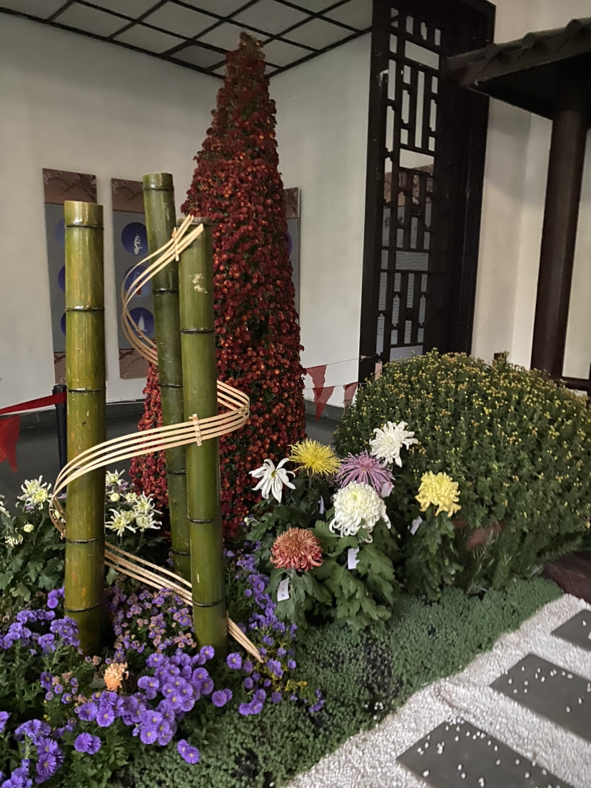 植物园的菊花展