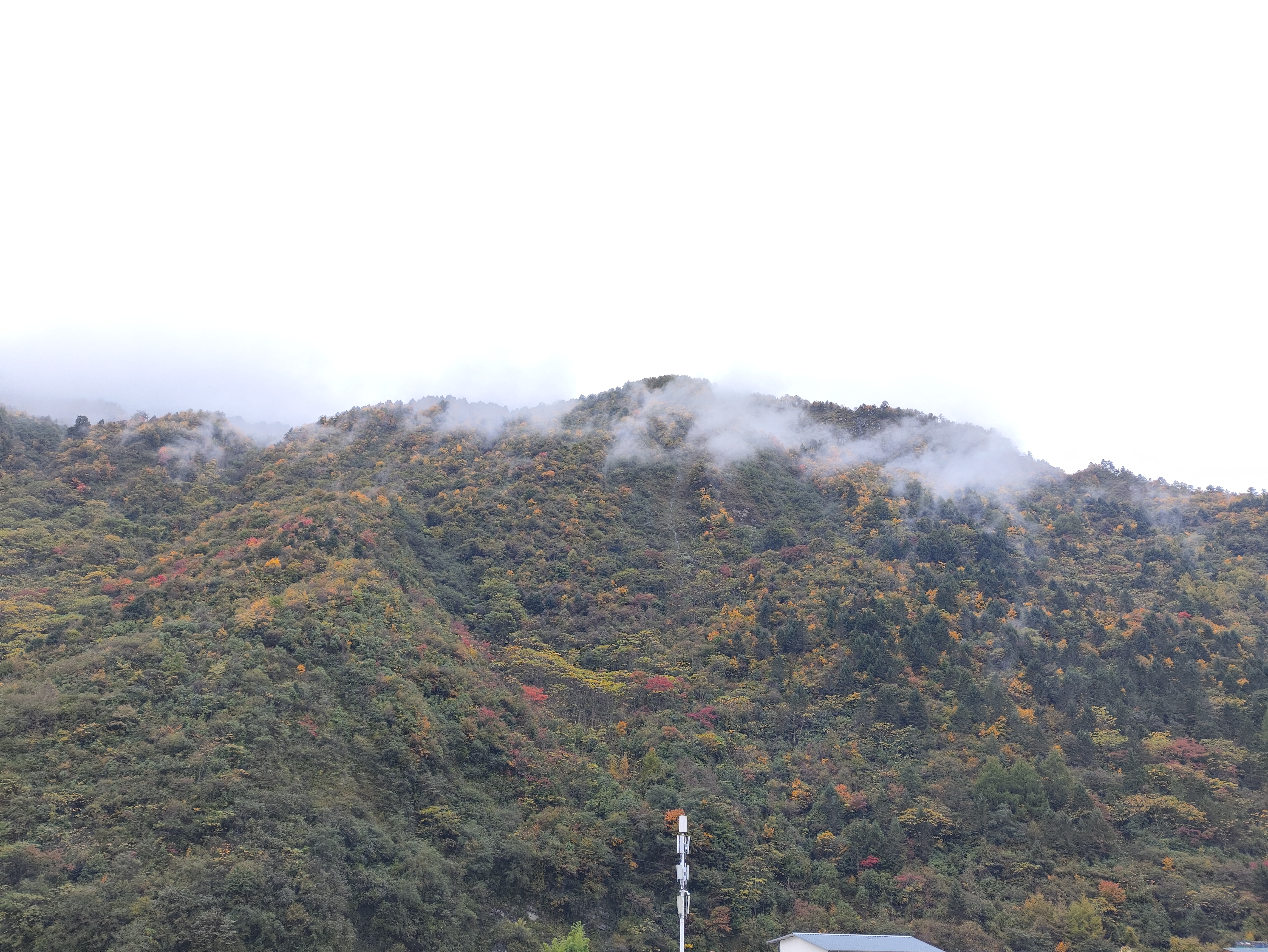 卧龙山徒步