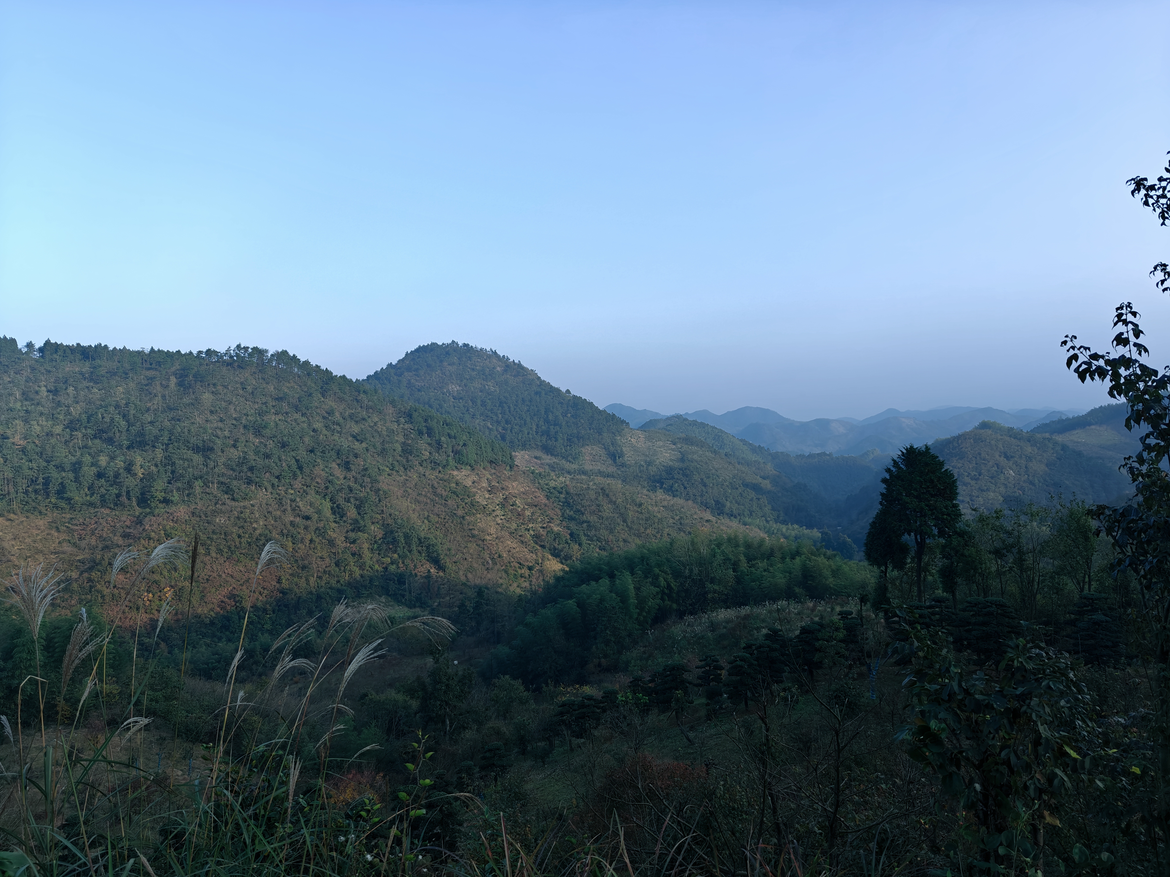 四明山十字库