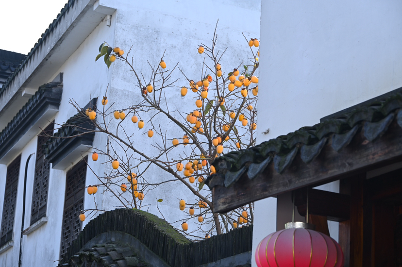 美味又好逛的荻港古村