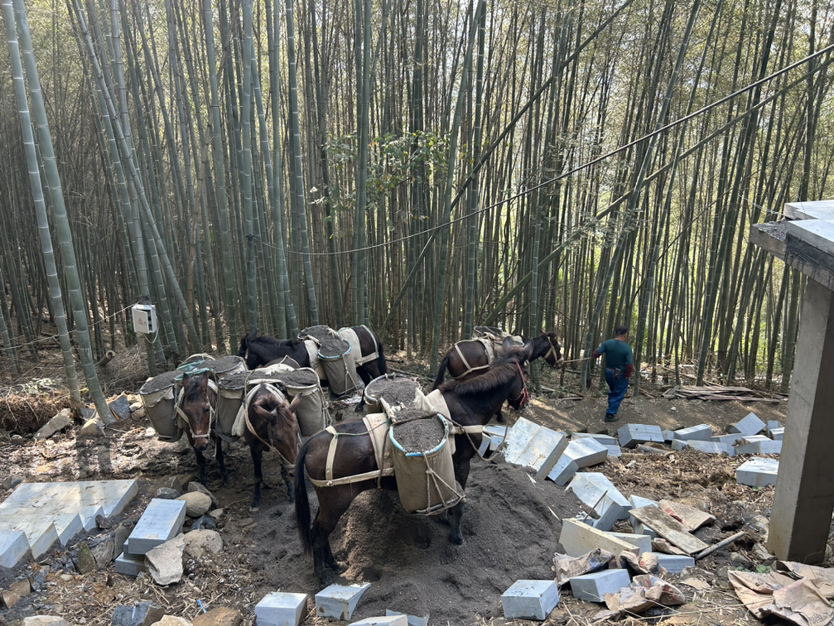 新线首发•大雾尖丨轻徒柯桥雾锁云尖,品味黄酒小镇