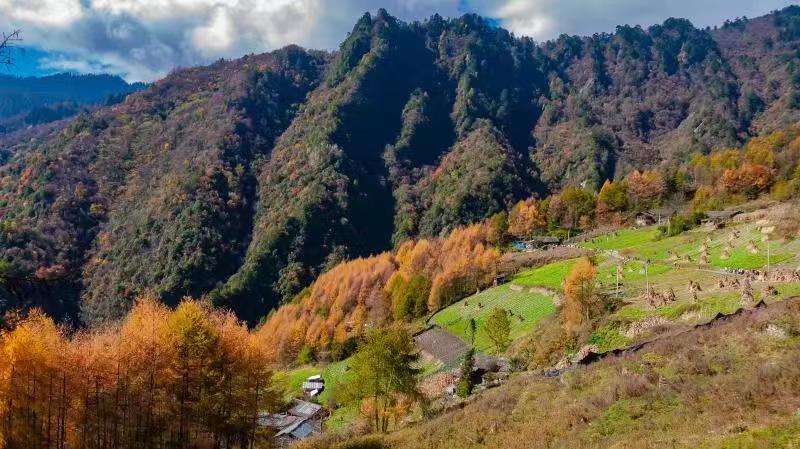 老鸦山