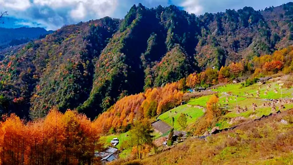 老鸦山
