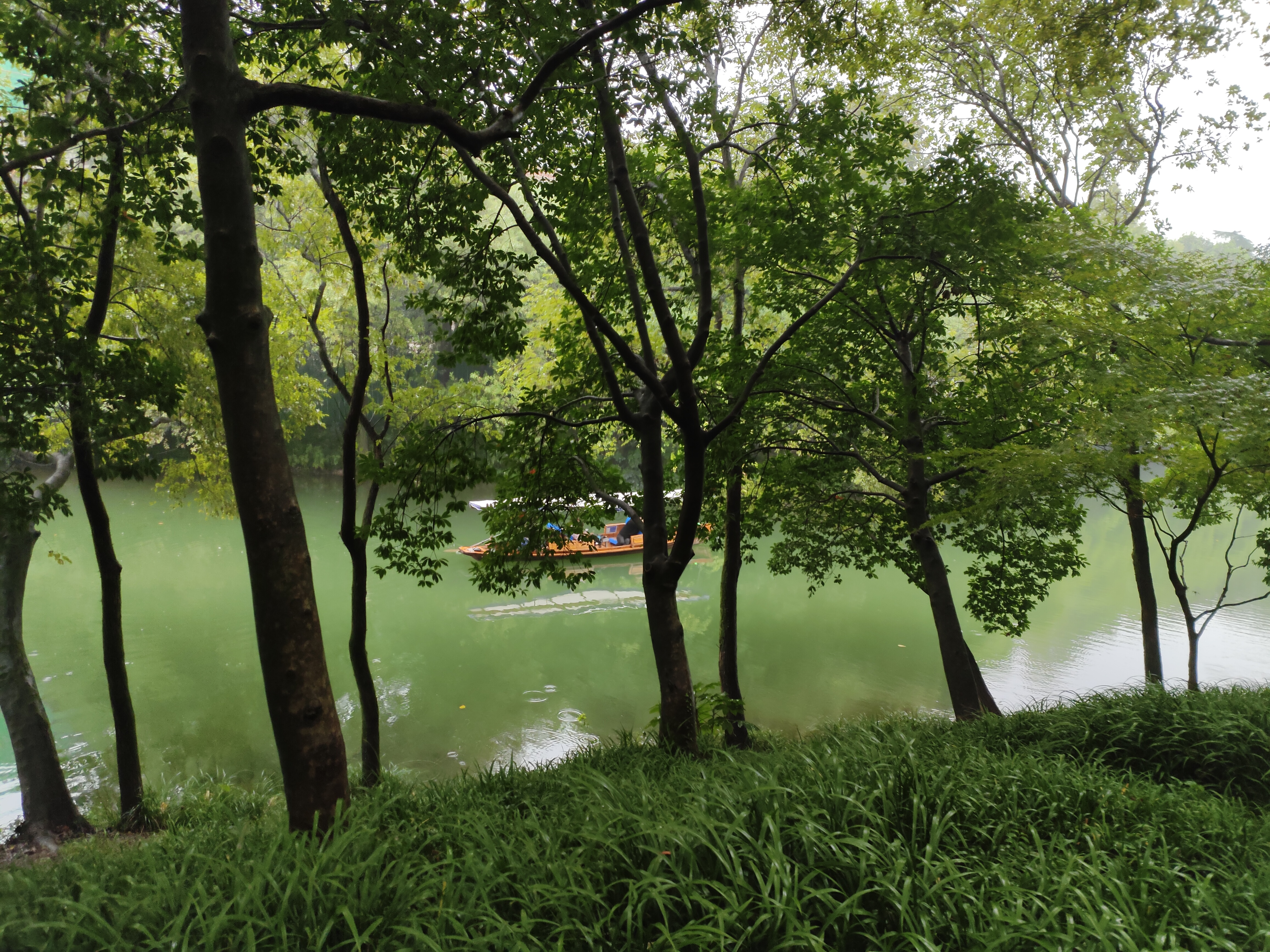 2024.10.15 满陇桂雨(十三)