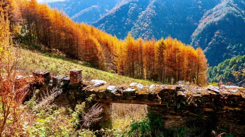 老鸦山