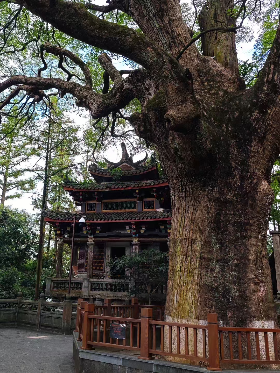 福建清水岩