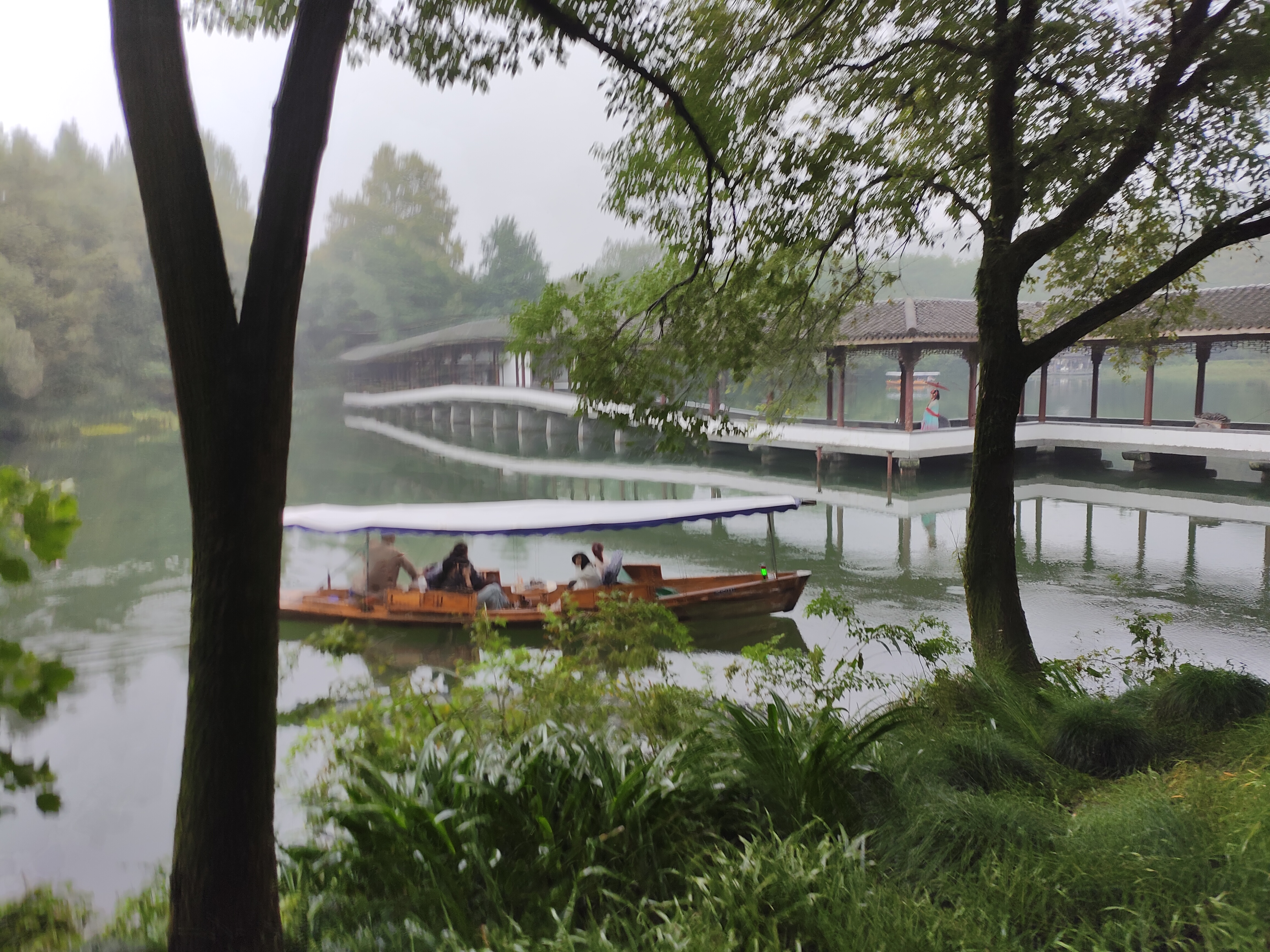 2024.10.15 满陇桂雨(十三)