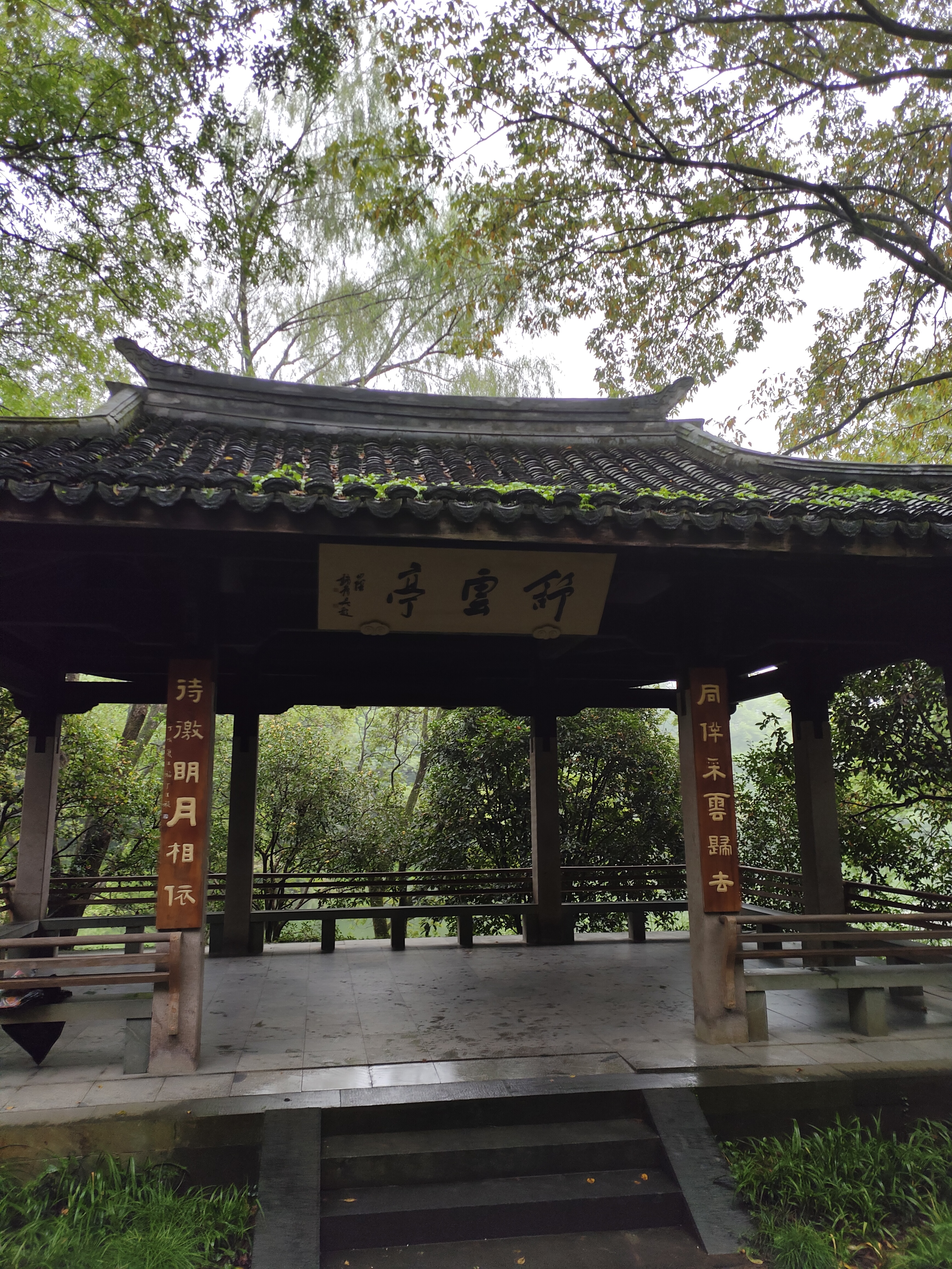 2024.10.15 满陇桂雨(十三)