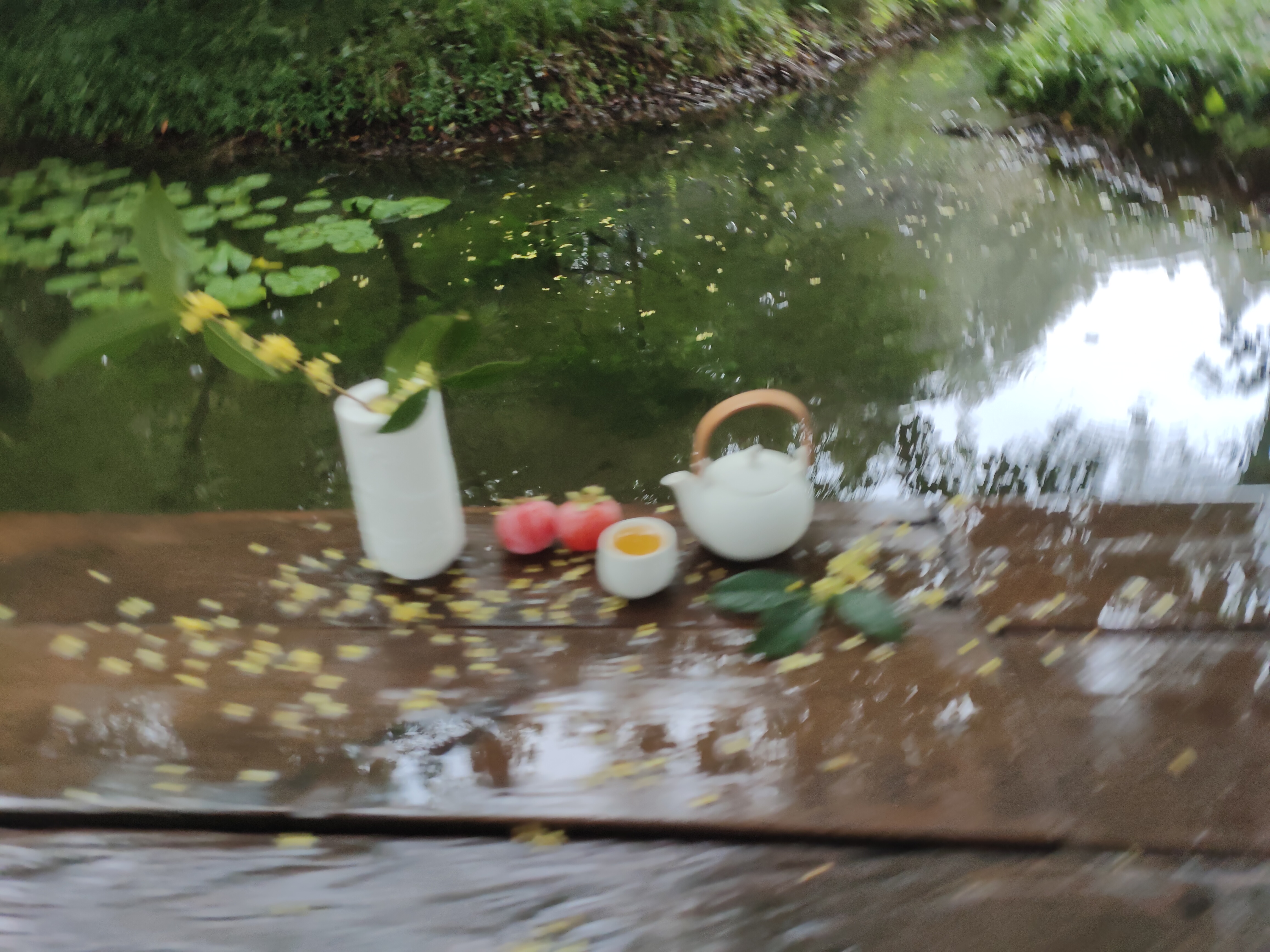 2024.10.15 满陇桂雨(十三)