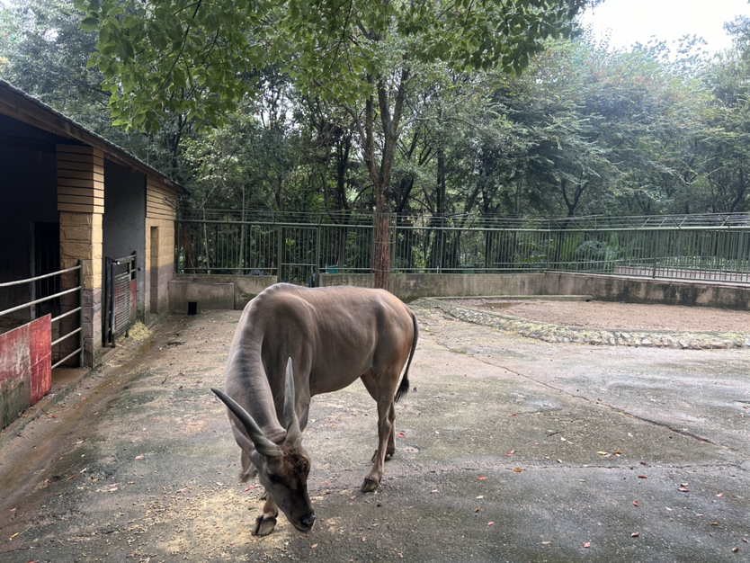 《安吉中南百草园游记》