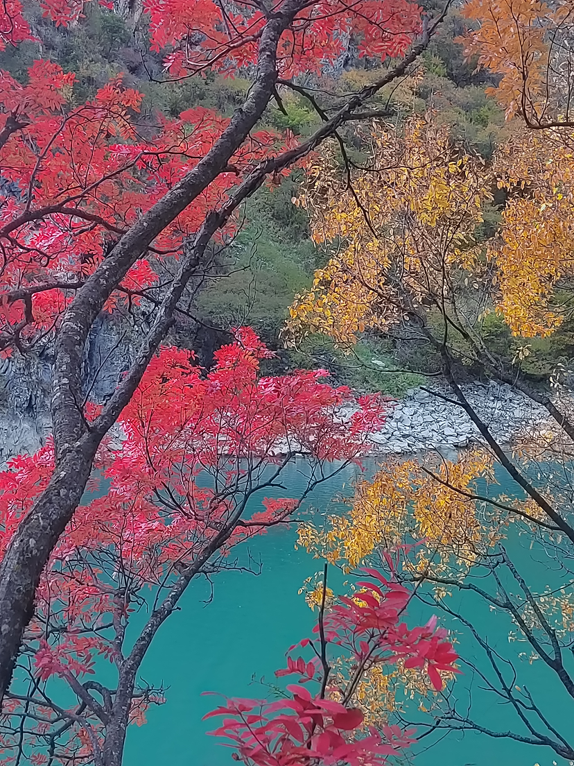 松坪沟之秋
