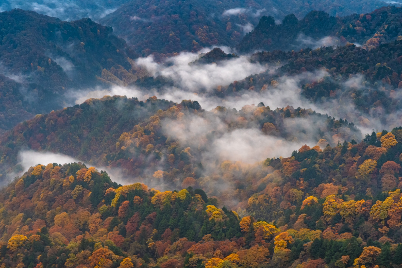 #攻略投稿#10.26~10.31光雾山摄影之旅:色彩与光影的奇幻之旅